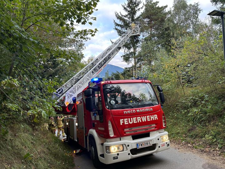 Tierrettung